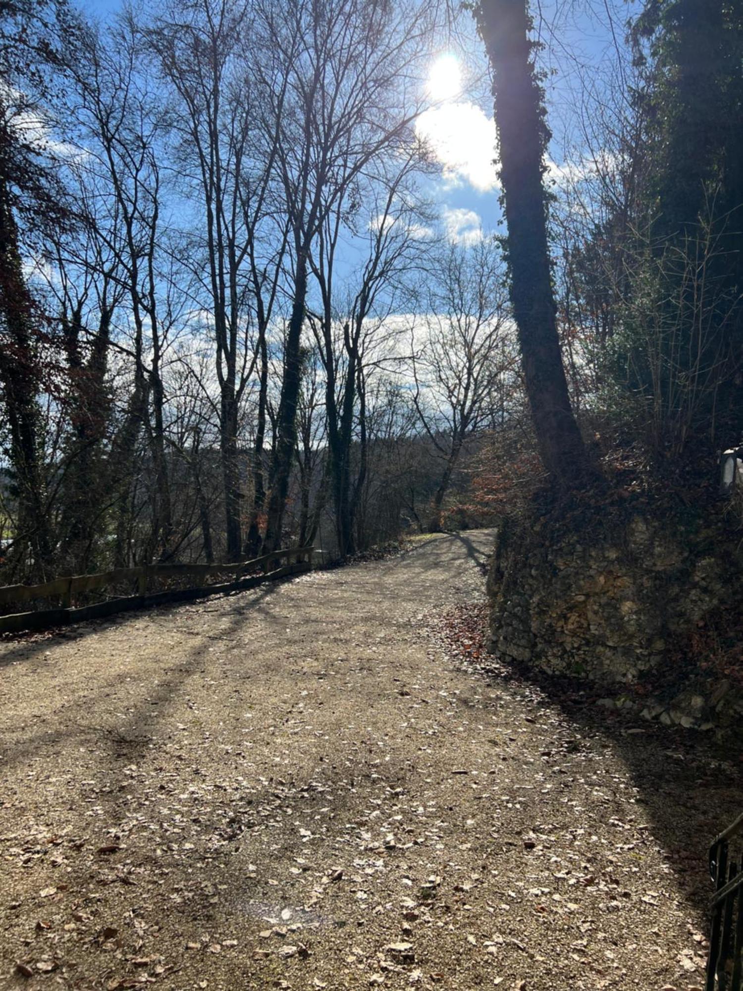 Schloss Suggenstein Sigmaringen Kültér fotó
